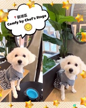 觀塘寵物友善西餐餐廳🥐