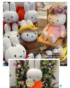 銅鑼灣Flower Miffy Pop Up Store