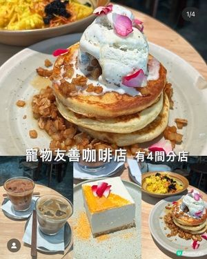 北角比想像中多美食，寵物友善cafe