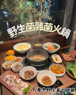 蘑界石鍋雞🍲！養生打邊爐😋！