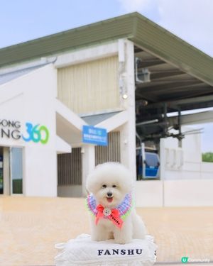 自駕遊大嶼山計劃🩷 帶你漫遊禁區