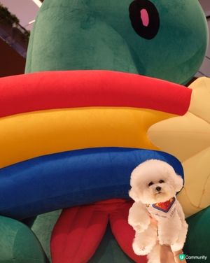 Joguman期間限定店✨✨