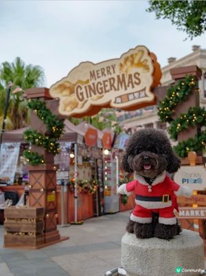 赤柱夠薑過聖誕！市集攻略 🎄🎁