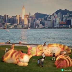 西九家FUN藝術節2026: Air Giants《夢遊喵境