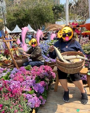 2026年維園花展·紫羅蘭🌸打卡必影位！