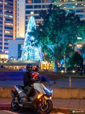 聖誕燈飾睇唔成 😭 唯有另類打卡📸