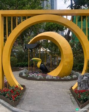 📸打卡位1 ： 鴨脷洲公園內的大嘴鳥

👍 推薦指數