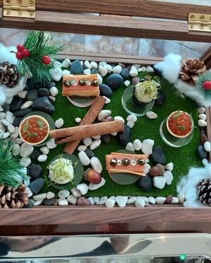 夏日閃耀🐠🍰✨💖