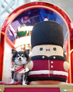 朗豪坊嘅薯仔🥔真係好可愛🎄✨
唔好睇我個樣好眼瞓咁
其實