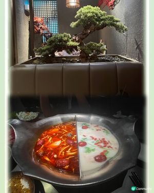 不推薦Moko 湊湊