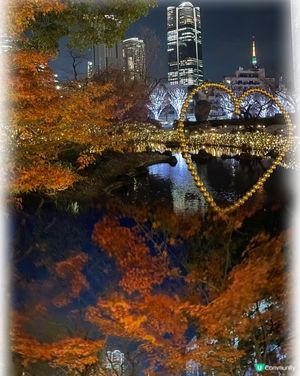 浪漫六本木秋楓夜 🍁📸