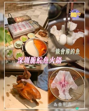 一條會飛嘅魚