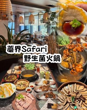 野生菌愛好者不能錯過!蘑界野生菌石鍋
菌菇有多種食法!主打天