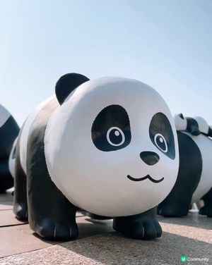 🎏2,500隻大熊貓🐼已經到晒嚟香港喇🇭🇰
