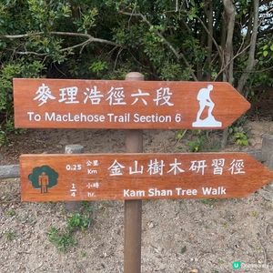 金山郊野公園