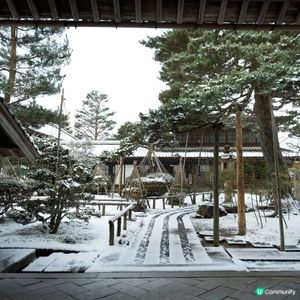 雪國豪農雪景，必睇！❄️⛩️
