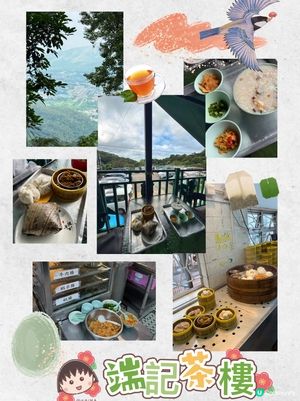 🍵 【隱世山水茶香|大帽山腳下的老香港味道