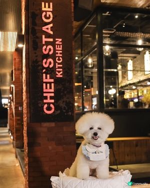 帶狗去食元朗FINE DINING 💭CP值高！ 