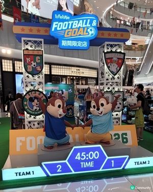 LifeLike FOOTBALL & GOAL