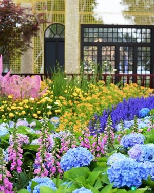 週末深圳好去處🌸免費賞花睇夠本 ➡️