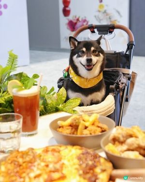 啟德炸雞陪食🤤！嫩滑香脆，停唔到口！🍗😋