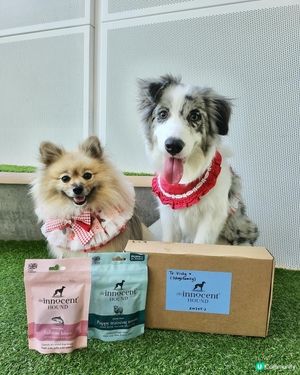 英國獲獎風乾食品品牌~The Innocent Hound