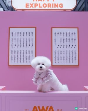 粉色控注意！📸 紗廠攝影展超好影！💖✨