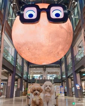 Hello Mr. MARS♥️