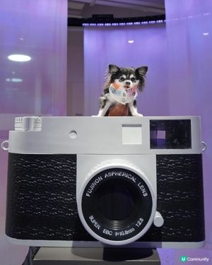 平時俾相機影就影得多,同相機合照都係第一次😝 