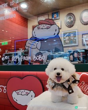 將軍澳中心聯乘聖誕裝飾