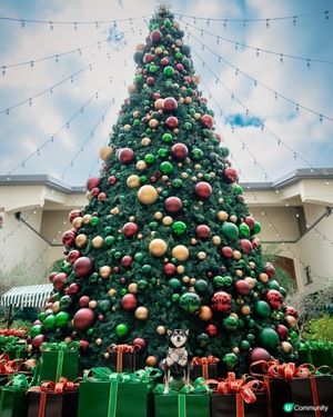 聖誕打卡好去處｜淺水灣影灣園