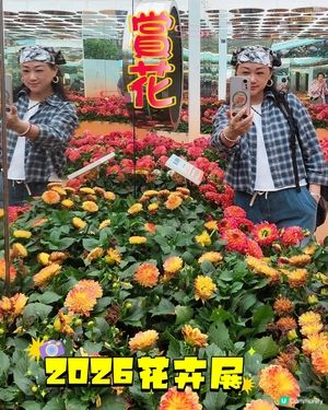 🌷我愛花花🌷之維園花展靚到爆！🌸💜