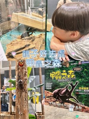 甲蟲館嚟喇！親子必去！🐞✨