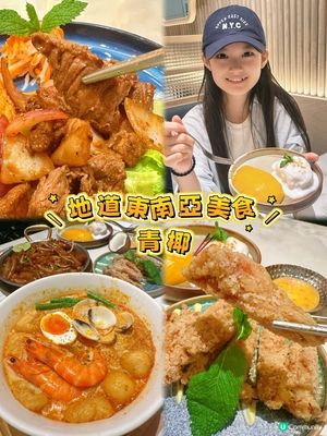 🔥東南亞美食@青椰🥥🔥