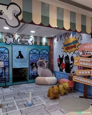 Pet Studio
