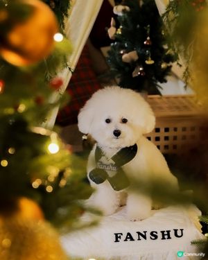 西九聖誕森林🌲！浪漫到爆！😍