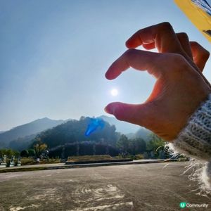 冬日的晨曦☀️