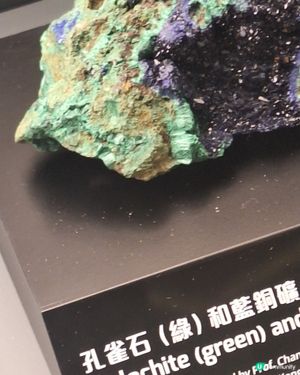 科學館雖然冇雞仔