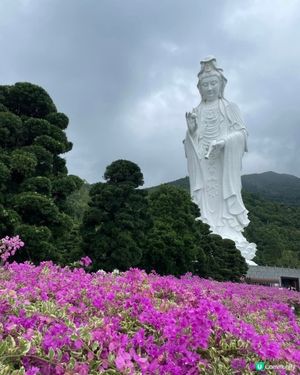 慈山寺避暑之旅🧘‍♀️🍃