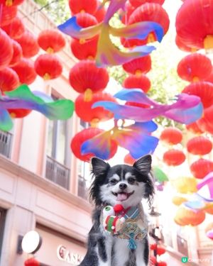 中秋節周圍都好有氣氛呀🤩🏮
我地今年湊熱鬧去利東街低炒影