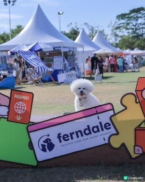 唔可以錯過📍香港最大型戶外 🥎過萬尺 🩷狗狗嘉年華💭