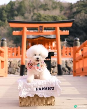 勝尾寺打卡！紅色達摩超搶眼🤩 影相一流📸！