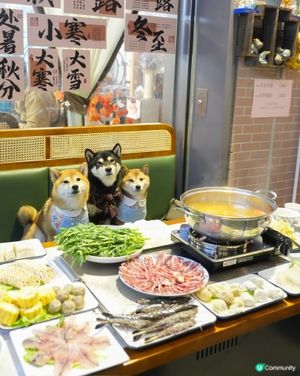 港式平價邊爐～寵物友善餐廳💕