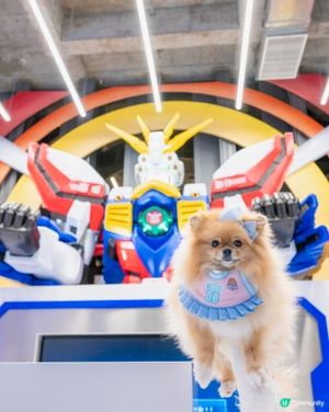 孝順女米蘇蘇帶爸爸睇高達！🤖💖