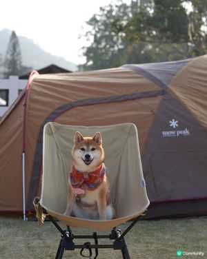 每年矇生日都會去staycation慶祝~
今年就簡左去小矇