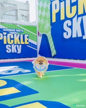 上水廣場寵物匹克球日！🐶🎾