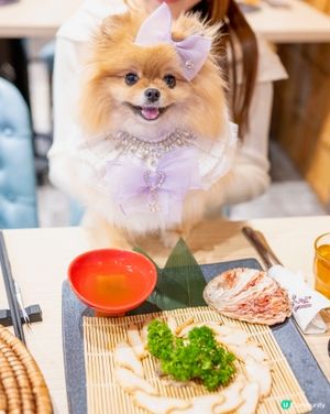 選擇多多嘅蒸氣海鮮火鍋