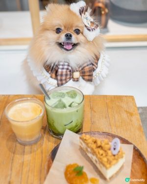 咖啡時間！☕️ 充電一下！💪