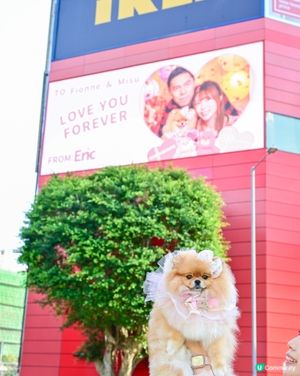 爸爸心意：電視冧囡囡媽媽💖📱