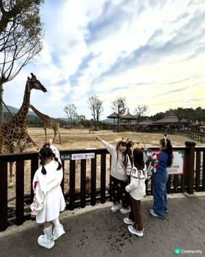 復活節🤩長隆指定套票買2送1！住宿送自助早餐、 限量升級房型